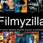 filmyzilla 2025
