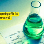 why kiolopobgofit important